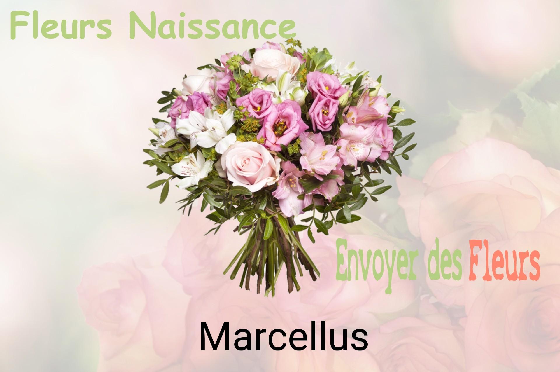Bouquet de fleurs de naissance livré à Marcellus