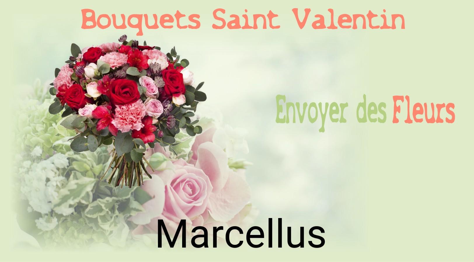 Roses de Saint-Valentin livrées à Marcellus