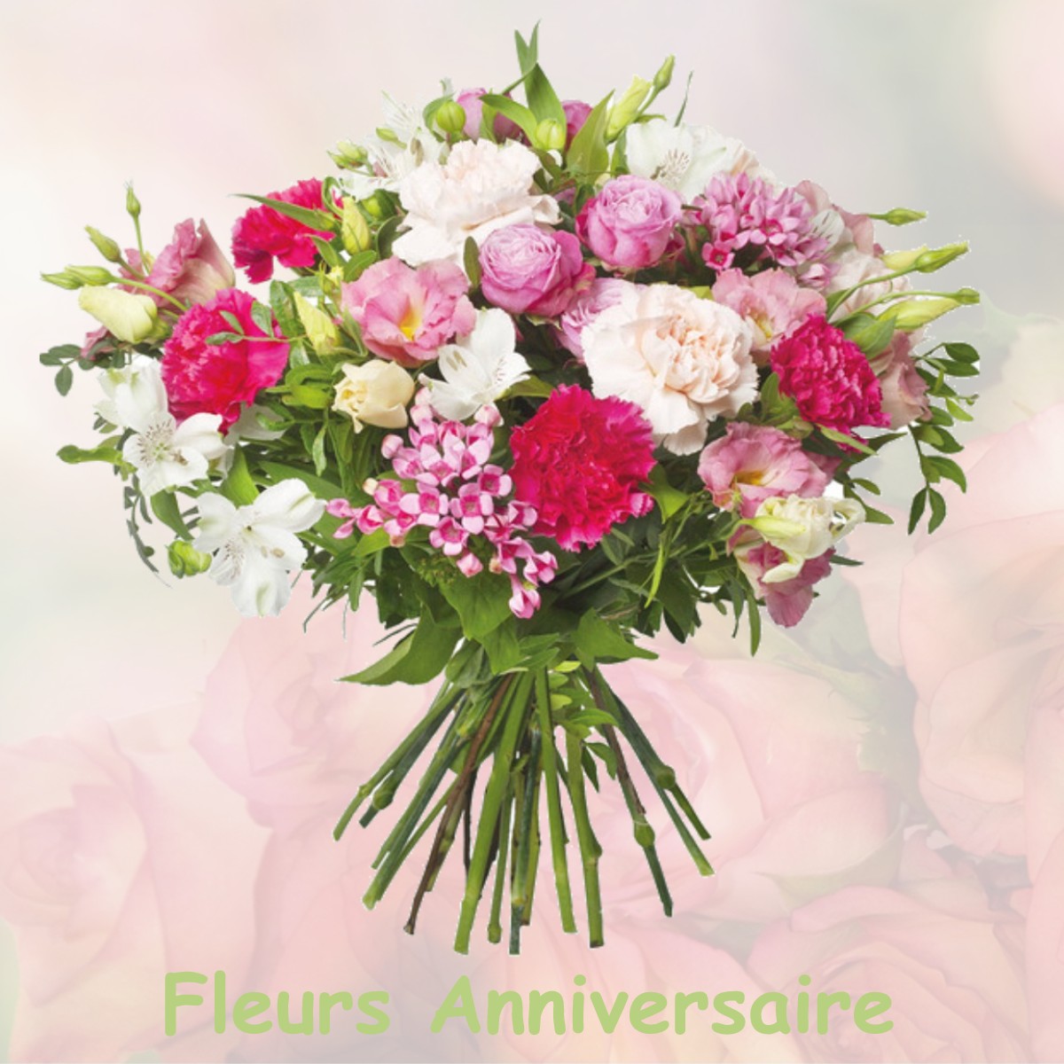fleurs anniversaire MARCELLUS