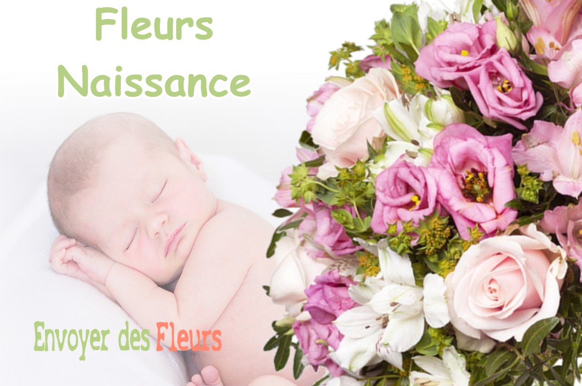 lIVRAISON FLEURS NAISSANCE à MARCELLUS